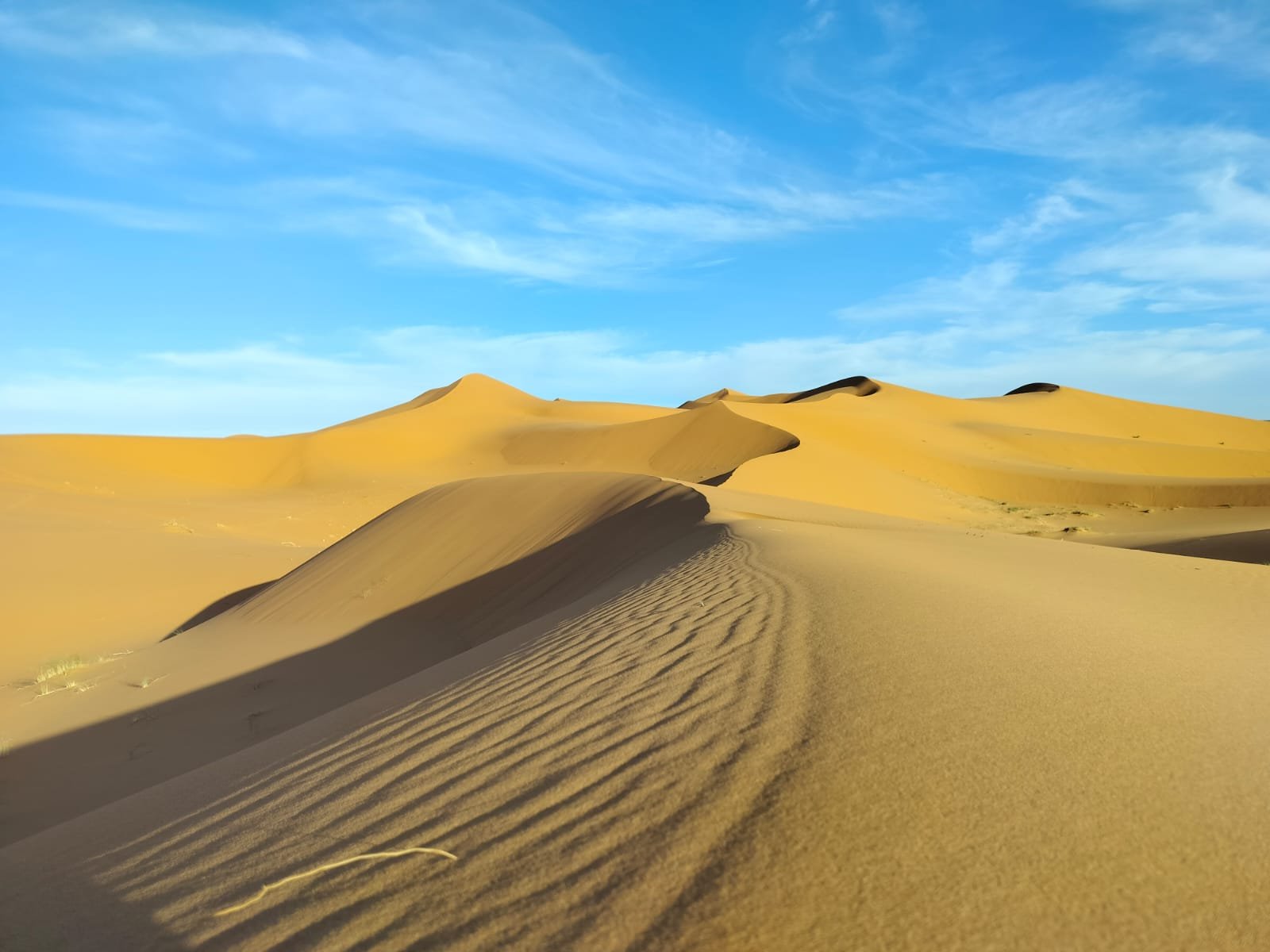 Zagora Desert Tour